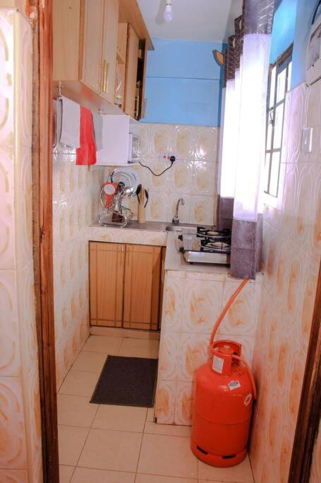 Cozy Homes 1 Bedroom House With Wi-Fi King Size Bed. Free Parking Naivasha Bagian luar foto
